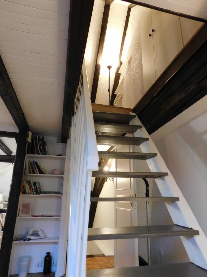 Appartement Typique Et Cosy A Deux Pas De La Cathedrale Strasbourg Luaran gambar
