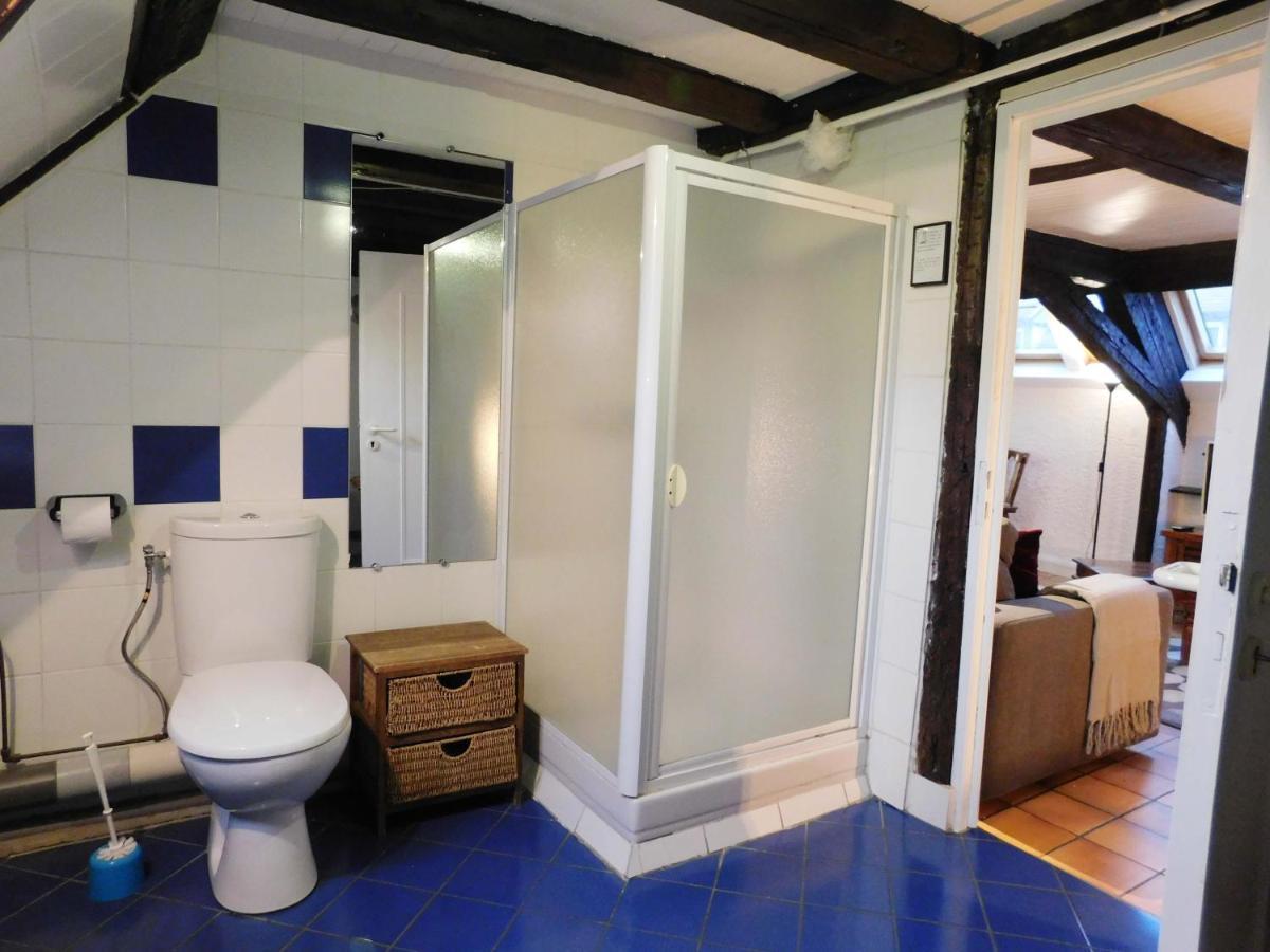 Appartement Typique Et Cosy A Deux Pas De La Cathedrale Strasbourg Luaran gambar