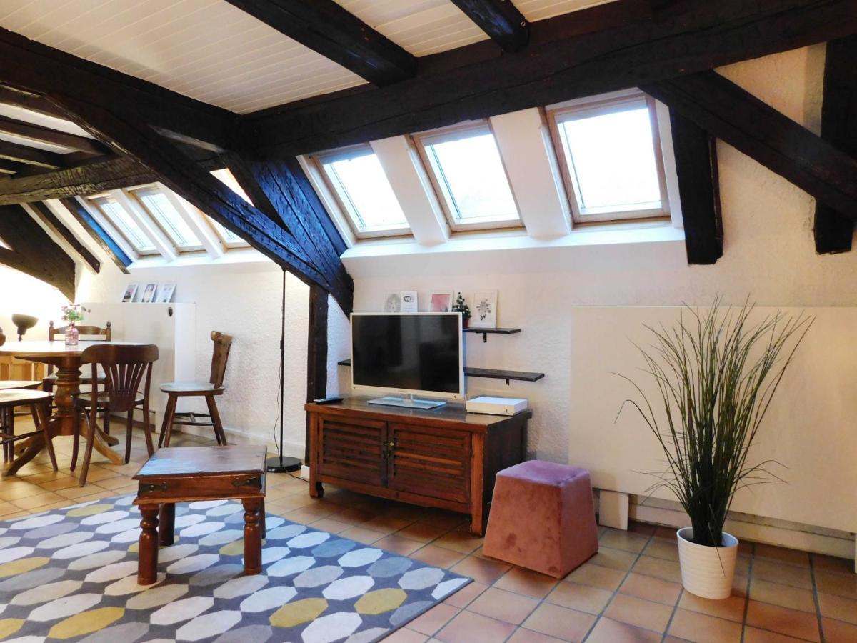 Appartement Typique Et Cosy A Deux Pas De La Cathedrale Strasbourg Luaran gambar