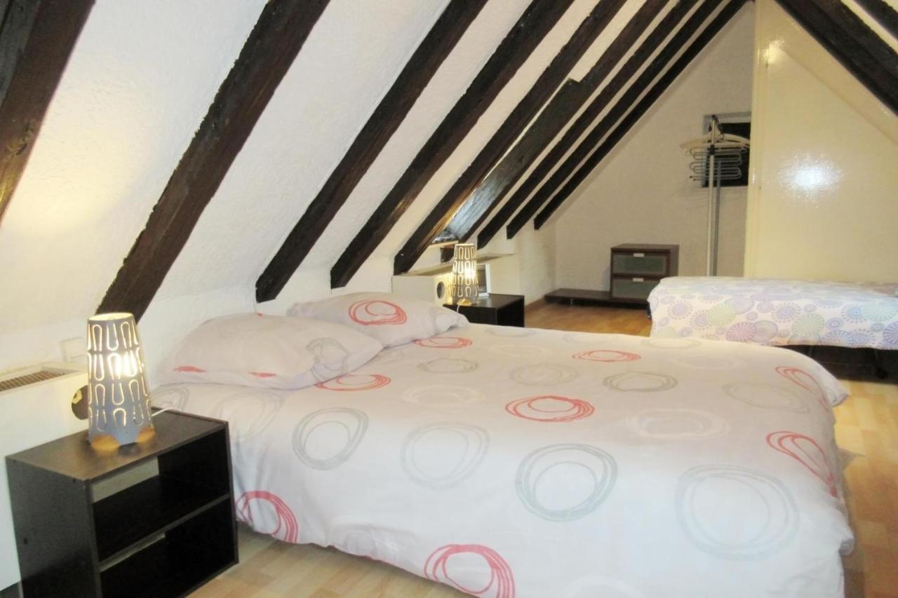 Appartement Typique Et Cosy A Deux Pas De La Cathedrale Strasbourg Luaran gambar